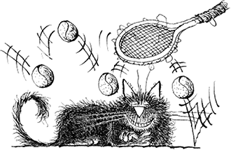 Иллюстрация к книге — Приключения ведьмочки Винни в школе. 4 волшебные истории [i_008.jpg]