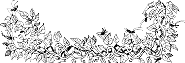 Иллюстрация к книге — Приключения ведьмочки Винни в школе. 4 волшебные истории [i_027.jpg]