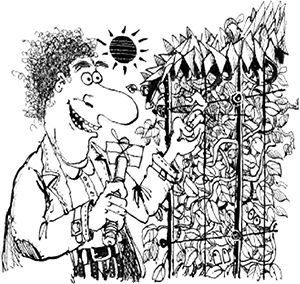 Иллюстрация к книге — Приключения ведьмочки Винни в школе. 4 волшебные истории [i_046.jpg]