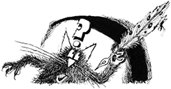 Иллюстрация к книге — Приключения ведьмочки Винни в школе. 4 волшебные истории [i_071.jpg]