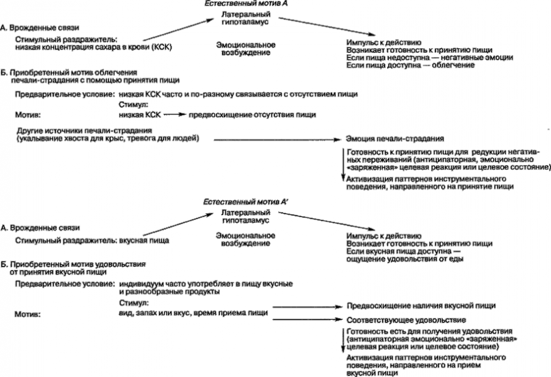 Иллюстрация к книге — Мотивация человека [i_017.jpg]