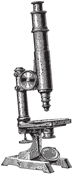 Иллюстрация к книге — Черный чемоданчик Егора Лисицы [i_001.jpg]