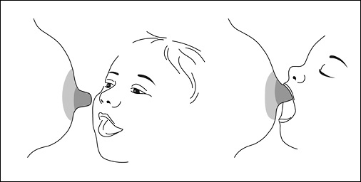 Иллюстрация к книге — Подарок на всю жизнь [i_005.jpg]