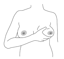 Иллюстрация к книге — Подарок на всю жизнь [i_007.jpg]