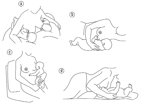 Иллюстрация к книге — Подарок на всю жизнь [i_013.jpg]