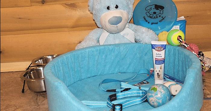 Иллюстрация к книге — Хорошая собака плохой породы не бывает [i_011.jpg]