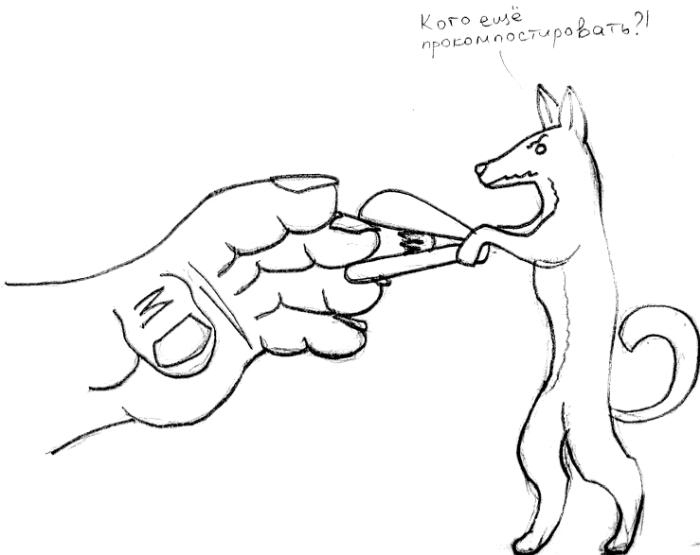 Иллюстрация к книге — Хорошая собака плохой породы не бывает [i_034.jpg]