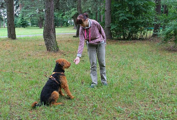 Иллюстрация к книге — Хорошая собака плохой породы не бывает [i_071.jpg]