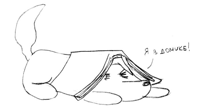 Иллюстрация к книге — Хорошая собака плохой породы не бывает [i_077.jpg]