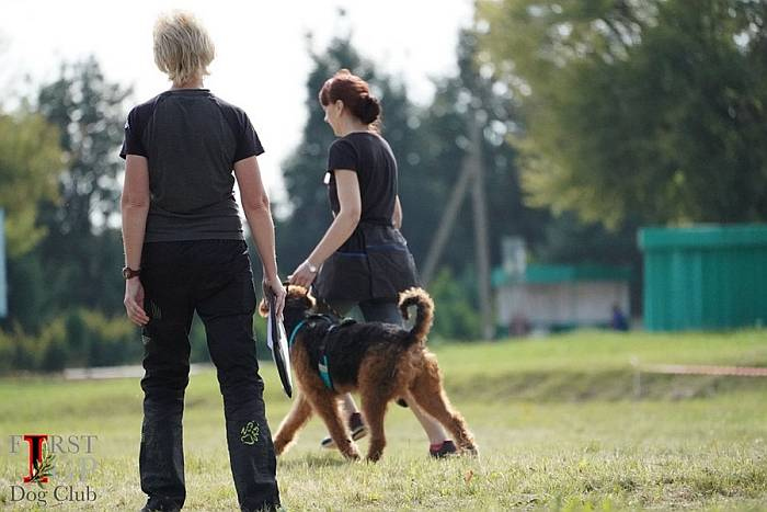 Иллюстрация к книге — Хорошая собака плохой породы не бывает [i_084.jpg]