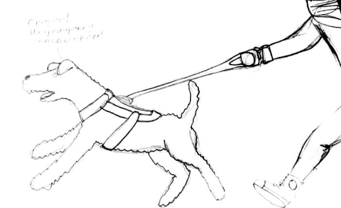 Иллюстрация к книге — Хорошая собака плохой породы не бывает [i_085.jpg]