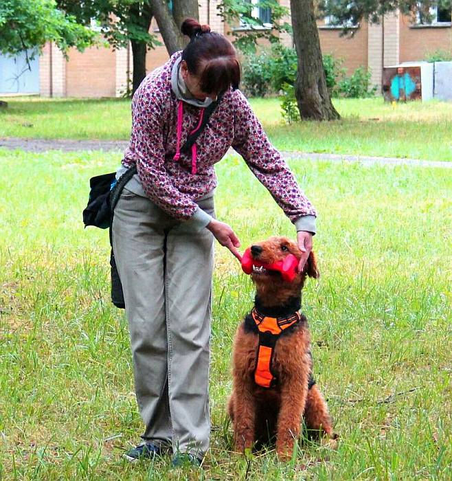 Иллюстрация к книге — Хорошая собака плохой породы не бывает [i_105.jpg]