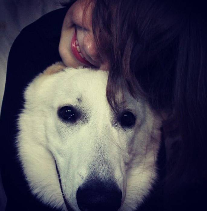 Иллюстрация к книге — Хорошая собака плохой породы не бывает [i_114.jpg]