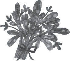 Иллюстрация к книге — Настоящий единорог! [i_011.jpg]