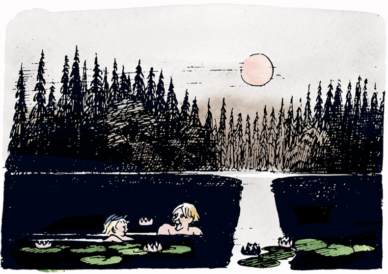 Иллюстрация к книге — Новые проделки Эмиля из Лённеберги [i_026.jpg]