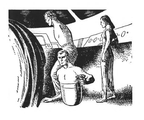 Иллюстрация к книге — Необычный полёт [i_010.jpg]