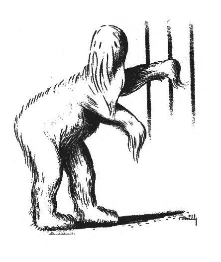 Иллюстрация к книге — Необычный полёт [i_027.jpg]