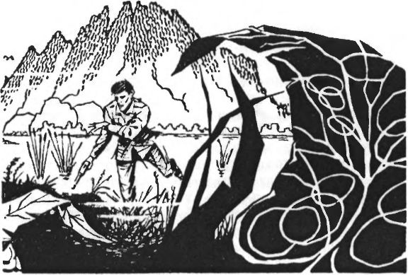 Иллюстрация к книге — Дом, забытый временем [image13.jpg]