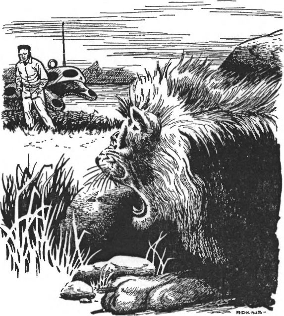 Иллюстрация к книге — Дом, забытый временем [image8.jpg]