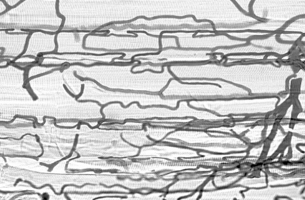 Иллюстрация к книге — Взламывая анатомию [image100.jpg]