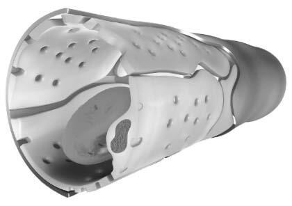 Иллюстрация к книге — Взламывая анатомию [image101.jpg]