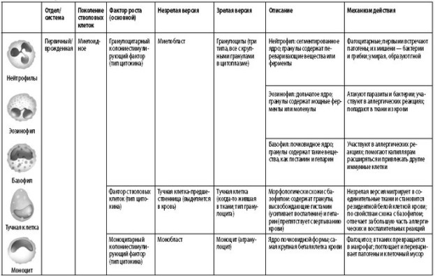 Иллюстрация к книге — Взламывая анатомию [image122.jpg]