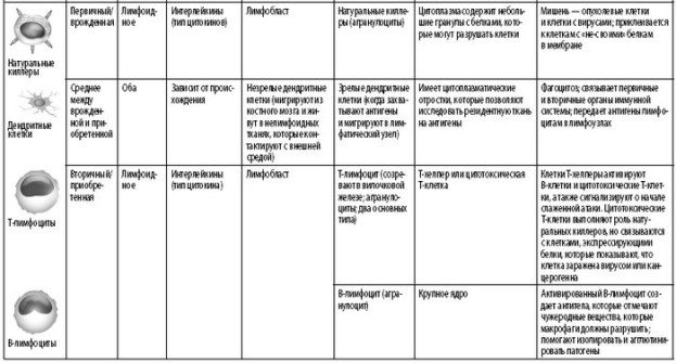 Иллюстрация к книге — Взламывая анатомию [image123.jpg]