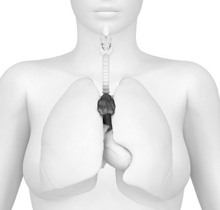 Иллюстрация к книге — Взламывая анатомию [image126.jpg]