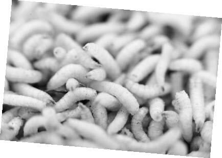 Иллюстрация к книге — Взламывая анатомию [image135.jpg]