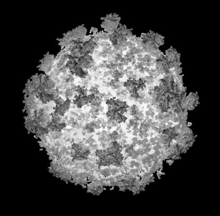 Иллюстрация к книге — Взламывая анатомию [image137.jpg]