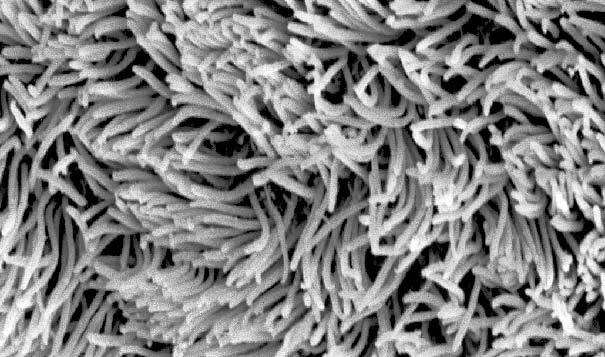 Иллюстрация к книге — Взламывая анатомию [image142.jpg]