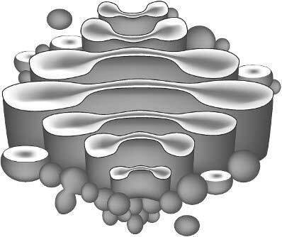 Иллюстрация к книге — Взламывая анатомию [image15.jpg]