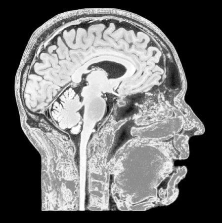 Иллюстрация к книге — Взламывая анатомию [image163.jpg]