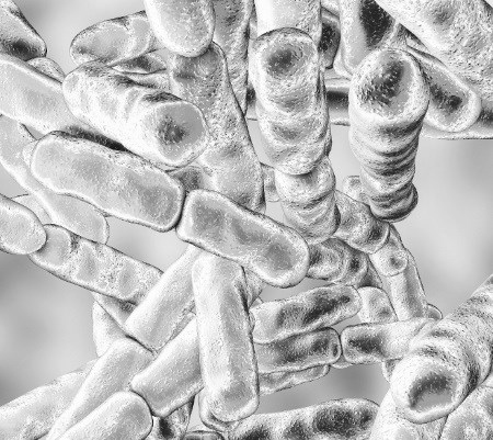 Иллюстрация к книге — Взламывая анатомию [image212.jpg]