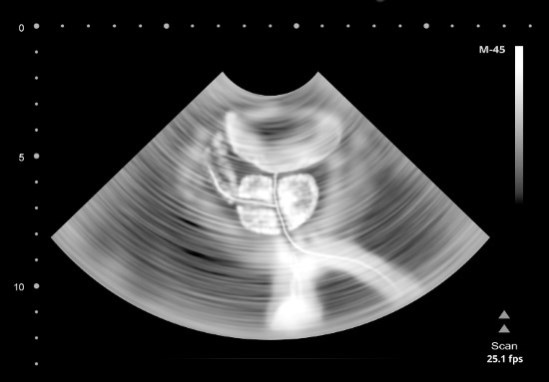 Иллюстрация к книге — Взламывая анатомию [image221.jpg]