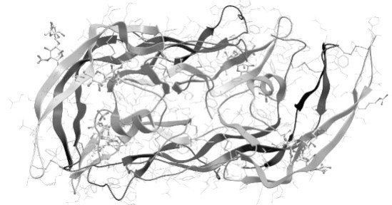 Иллюстрация к книге — Взламывая анатомию [image226.jpg]