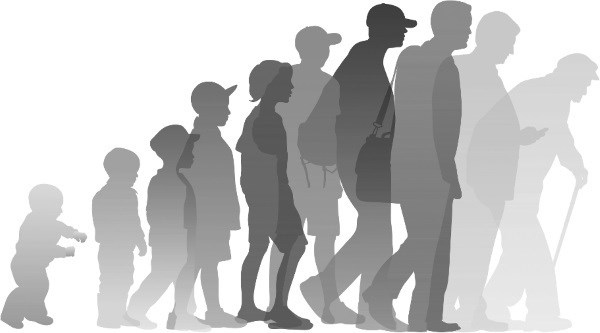 Иллюстрация к книге — Взламывая анатомию [image227.jpg]