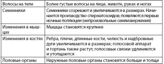 Иллюстрация к книге — Взламывая анатомию [image229.jpg]