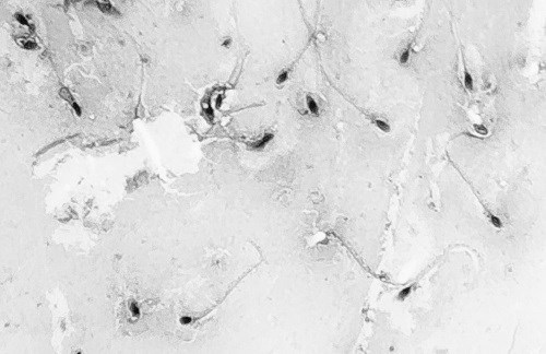 Иллюстрация к книге — Взламывая анатомию [image235.jpg]