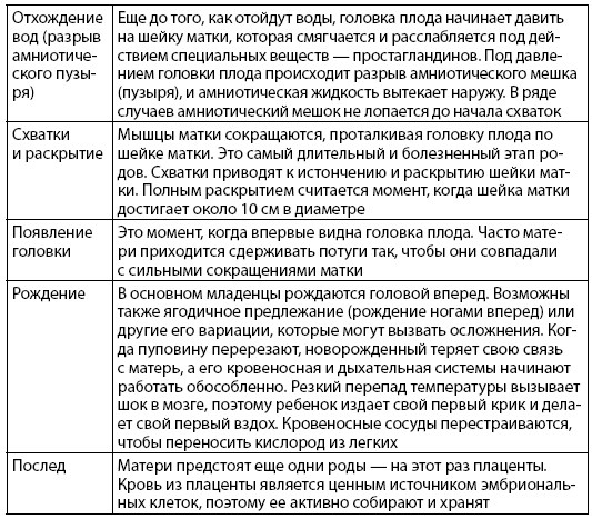 Иллюстрация к книге — Взламывая анатомию [image245.jpg]