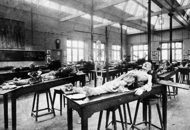 Иллюстрация к книге — Взламывая анатомию [image5.jpg]