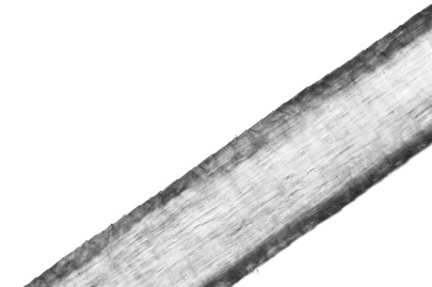 Иллюстрация к книге — Взламывая анатомию [image50.jpg]