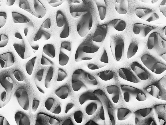 Иллюстрация к книге — Взламывая анатомию [image65.jpg]