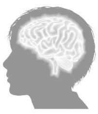 Иллюстрация к книге — Взламывая анатомию [image73.jpg]