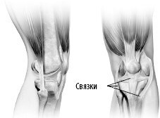 Иллюстрация к книге — Взламывая анатомию [image75.jpg]