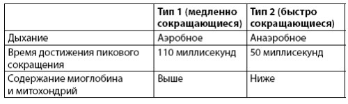 Иллюстрация к книге — Взламывая анатомию [image81.jpg]