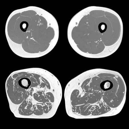 Иллюстрация к книге — Взламывая анатомию [image89.jpg]