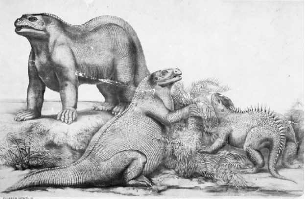 Иллюстрация к книге — Взламывая планету Земля [image126.jpg]