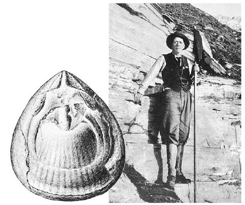 Иллюстрация к книге — Взламывая планету Земля [image167.jpg]