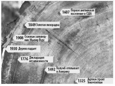 Иллюстрация к книге — Взламывая планету Земля [image177.jpg]